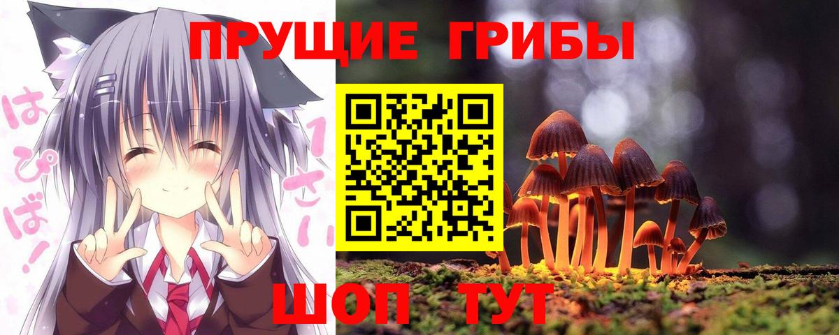 Псилоцибиновые грибы Psilocybe  Вход с VPN  купить наркотики цена  Рославль 